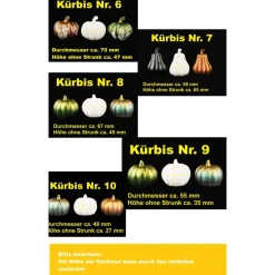 Deko-Obst^Tinas Schmucktruhe Handbemalte Keramik-Kürbisse – Exklusive Herbstdeko in Metallic oder Weiß, Unikat-Geschenk