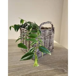 Cozy Creations by Nadja Korb Körbchen Organizer Geschenk