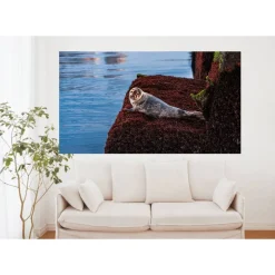 AlsterJuwel Seehund auf Helgoland, Foto Datei zum selber drucken, Abmessung nach Wunsch, max. Höhe 151,91 cm x Breite 270,09 cm